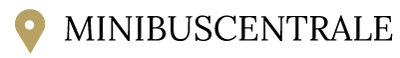 Logo minibuscentrale.nl